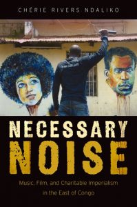 Necessary Noise book cover