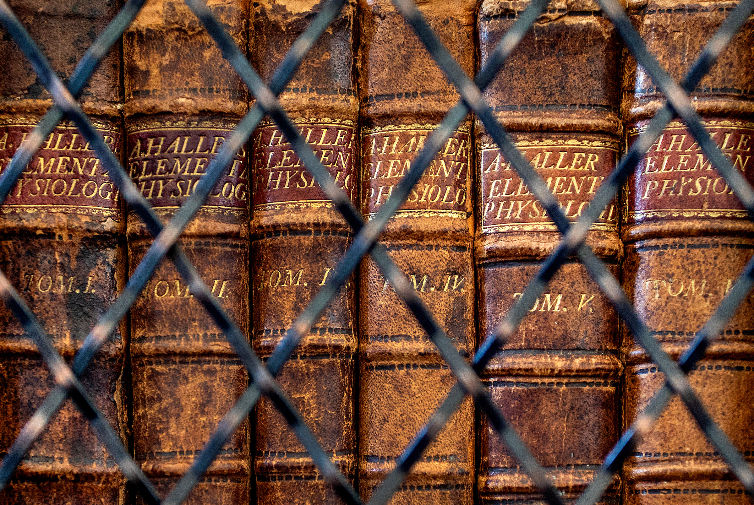 Close up of historic books spines through the iron grate cabinet door.