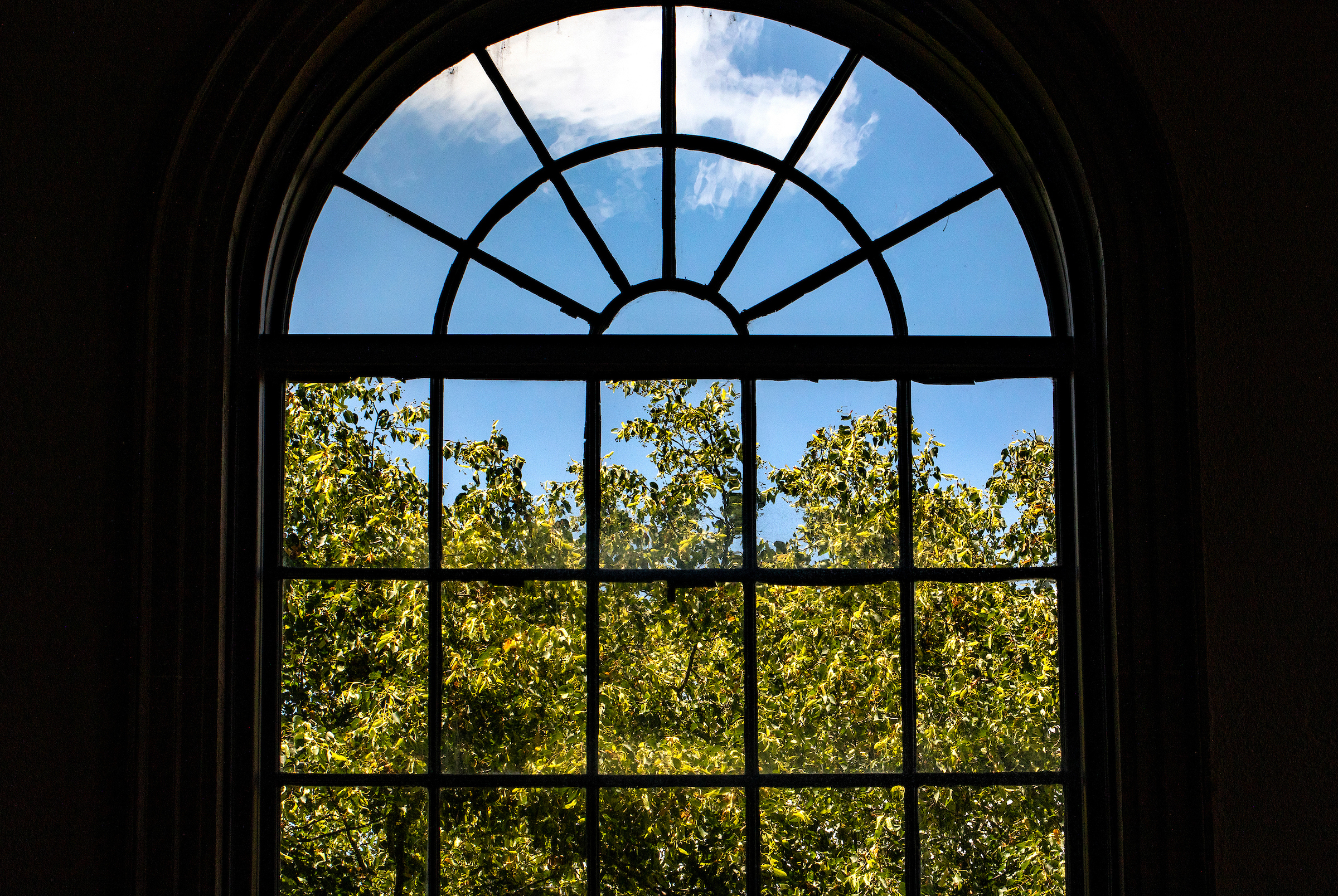 View of green trees and blue sky through a tall window in Wilson Library.